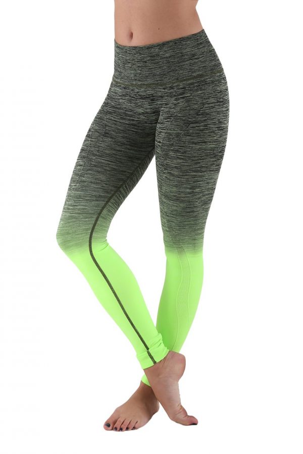 Workout Leggings